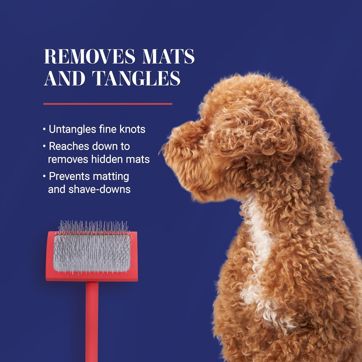 Transform Your Grooming Routine with the Big G Professional Slicker Brush for Dogs - Perfect for Goldendoodles, Labradoodles, and Poodles - Coral, Large