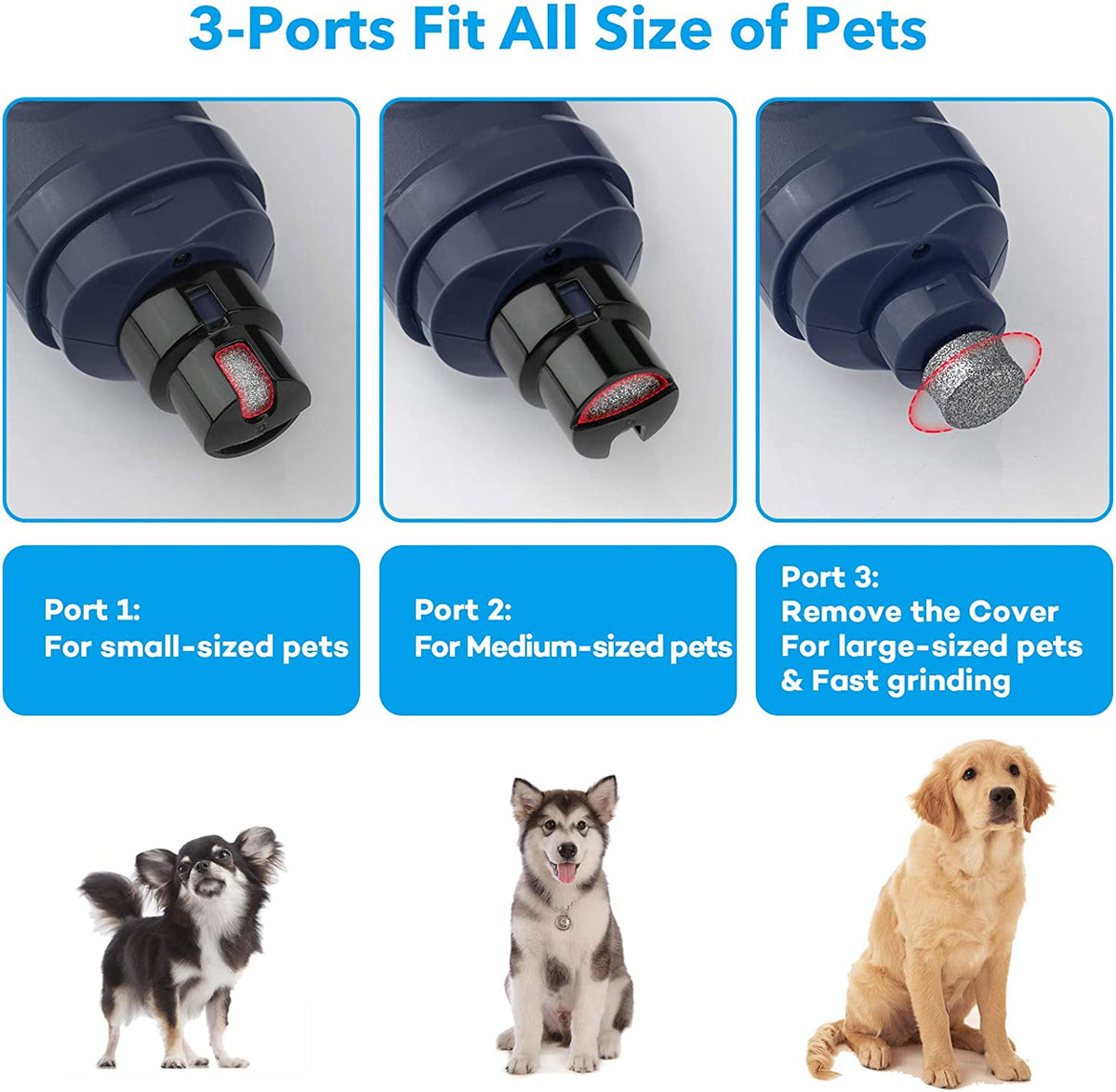 Ultimate Dog Nail Grinder with Dual LED Lights - Powerful 2-Speed Electric Trimmer for Painless Grooming of Small, Medium, and Large Dogs and Cats (Blue)
